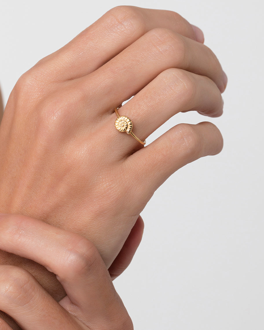 Anel de Concha em Ouro 18K Coquille