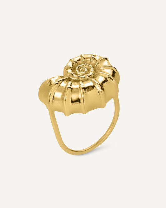 Anel Littorina em Ouro 18K