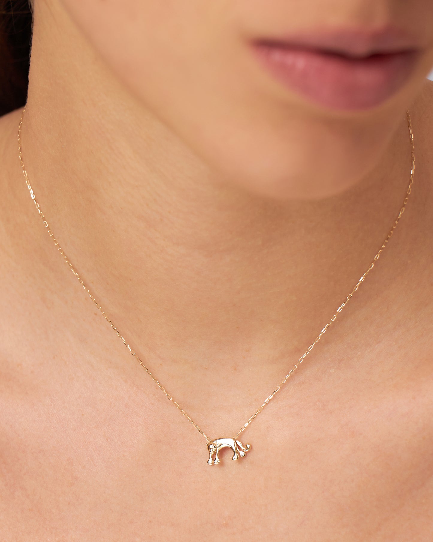 Colar Pantera em Ouro 18K e Diamantes