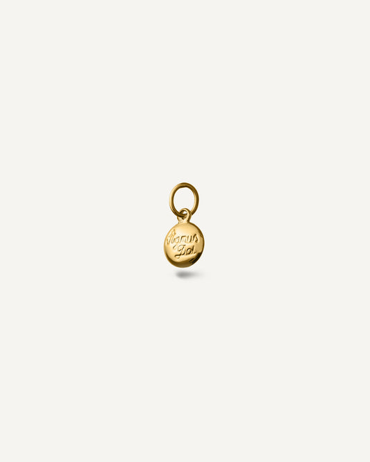 Pingente Medalha Agnus Dei em Ouro 18K